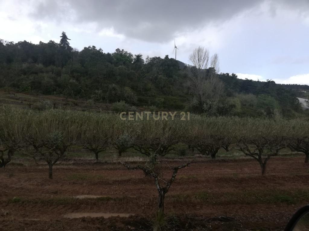  Terreno Agrícola na Zona Oeste - Image 10
